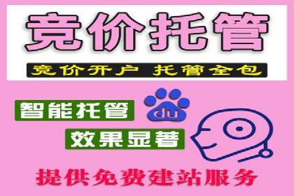 百度推广效果案例解析
